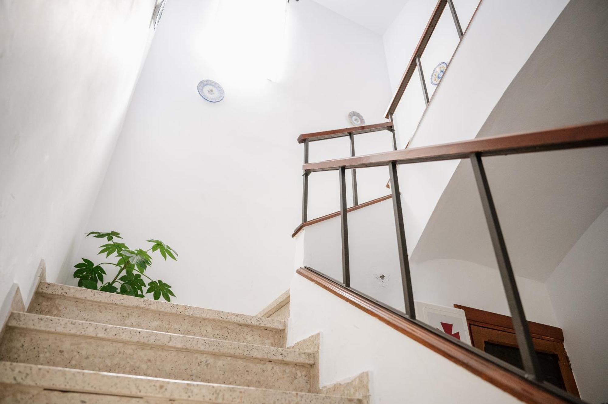 Rollo Campillo Apartment Trujillo